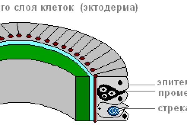 Kraken 9 at клиар ссылка