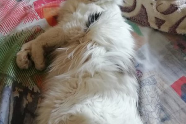 Kraken официальный сайт ссылка через tor