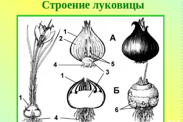 Ссылки кракен 2024