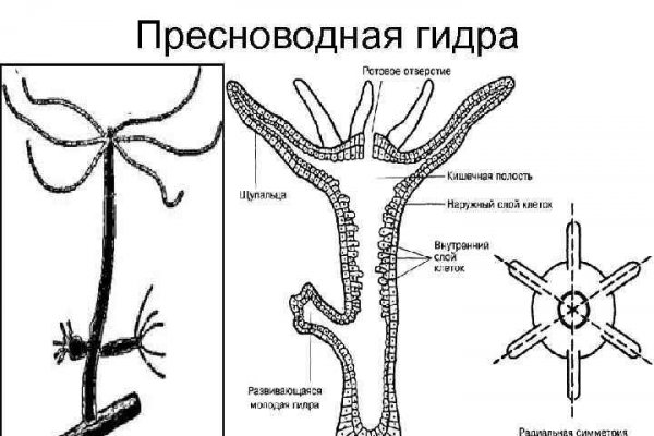 Ссылка на кракен 2024