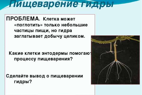 Кракен даркмаркет плейс официальный сайт